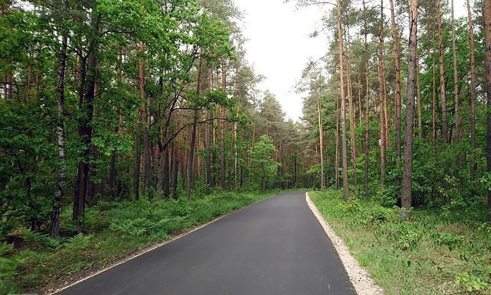 Najpiękniejsze trasy w Polsce - Puszcza Kampinoska