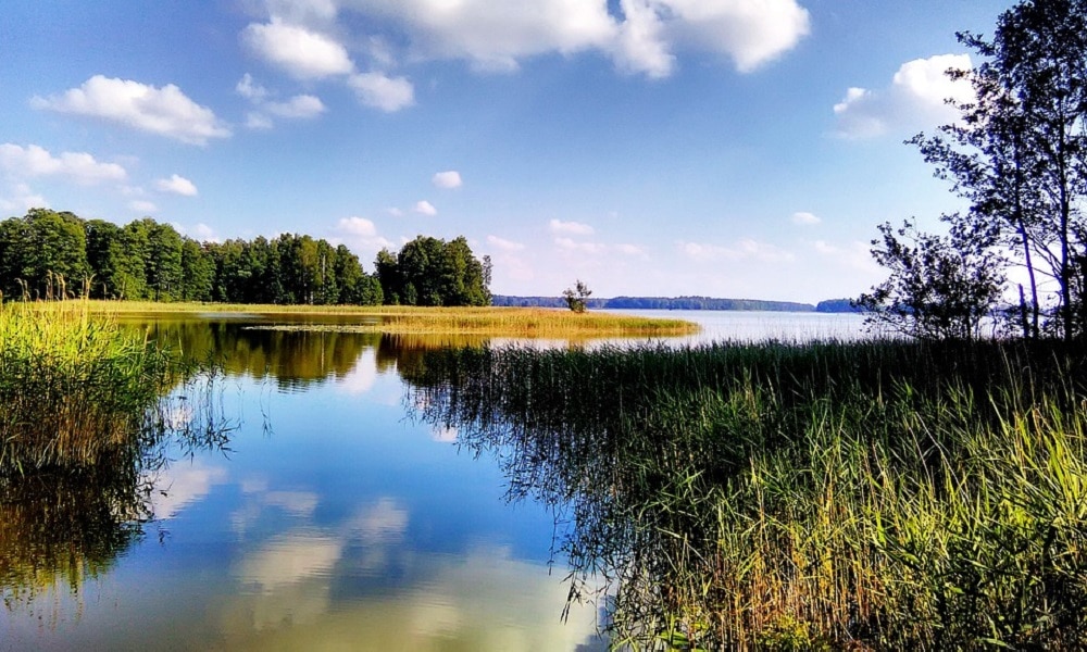 Mazury