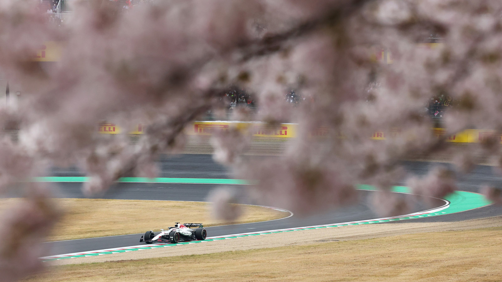 harmonogram gp japonii f1